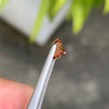 Top quality Malaya garnet peach color