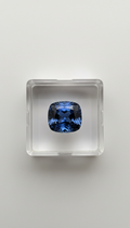 Royal Blue Sapphire in Display Case
