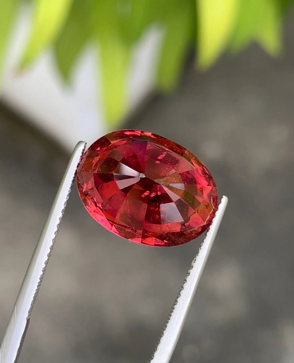 AIGS CERTIFIED RUBELLITE TOURMALINE TOP LUSTRE
