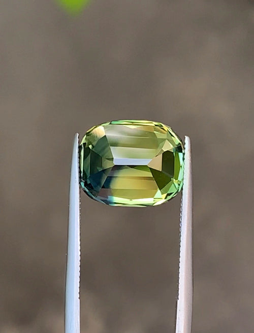 Bi color sapphire