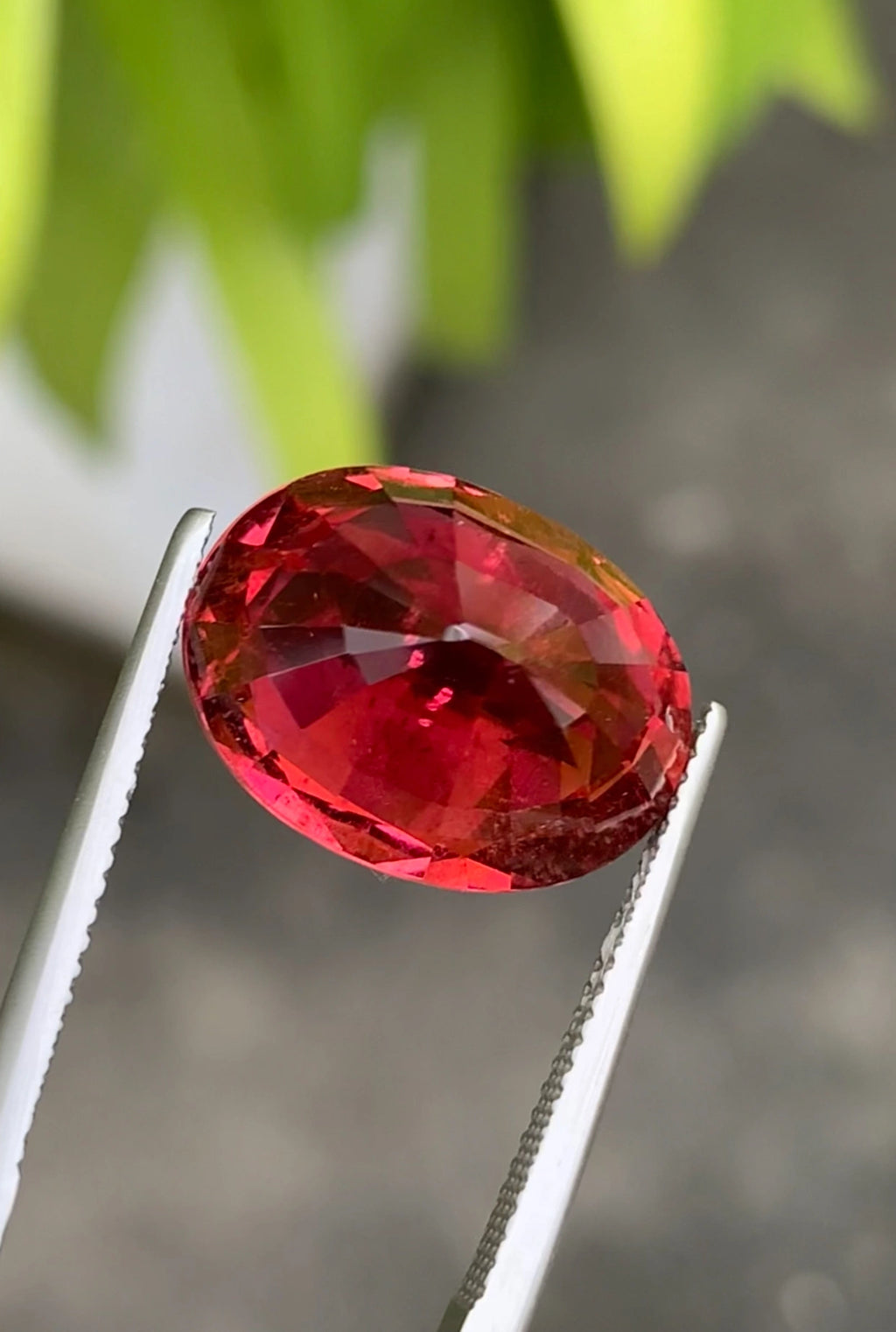 AIGS CERTIFIED RUBELLITE TOURMALINE TOP LUSTRE