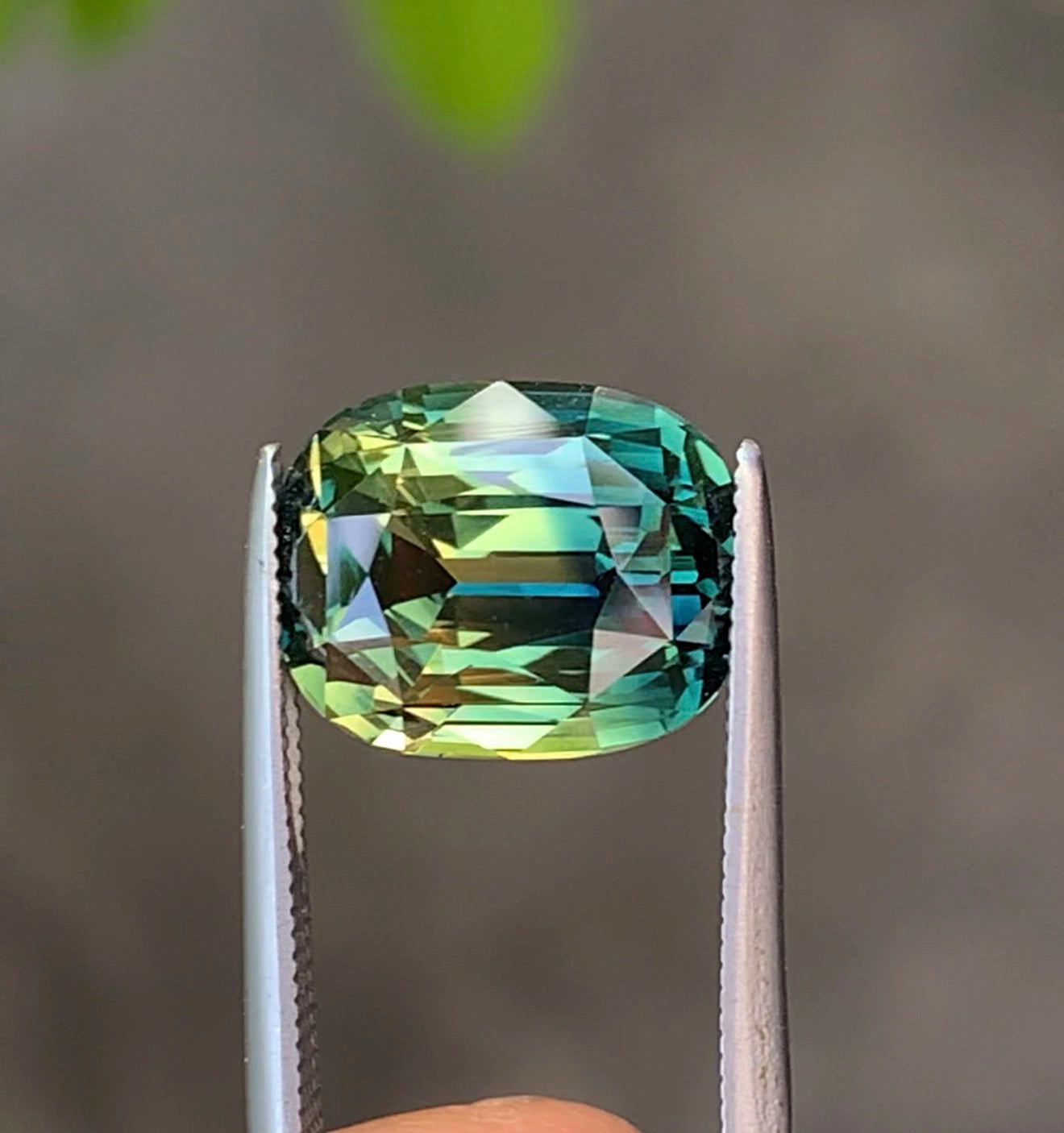 Bi color sapphire